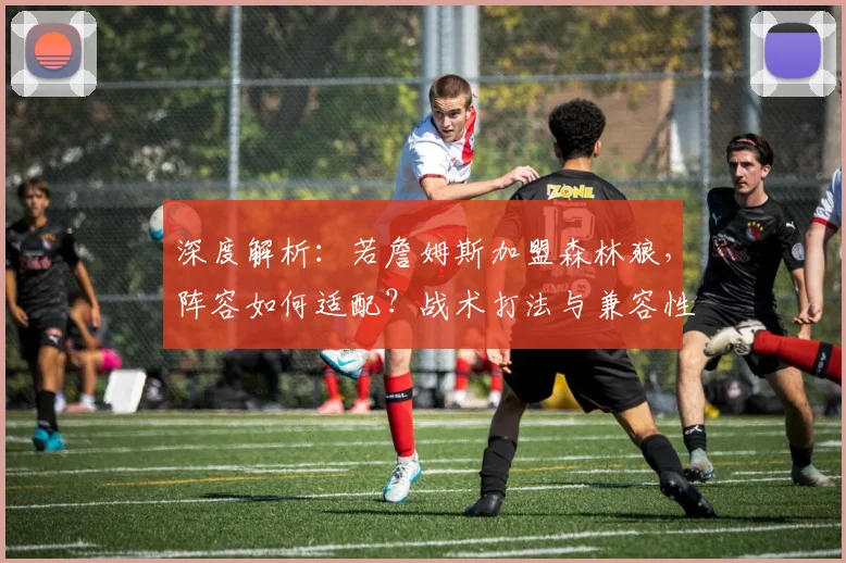 深度解析:若詹姆斯加盟森林狼,阵容如何适配?战术打法与兼容性全探讨
